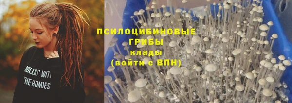 дживик Вяземский