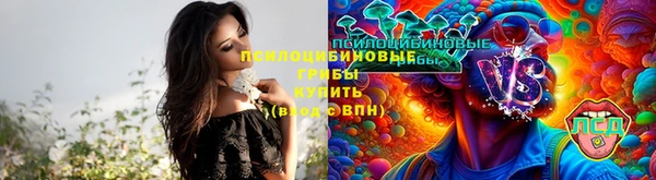 mdpv Вязьма