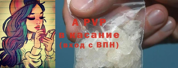 дживик Вяземский