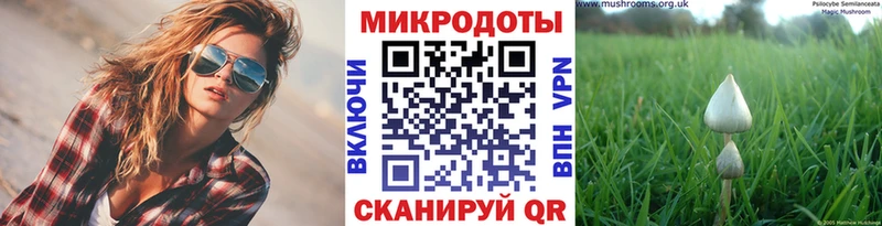 где можно купить Железногорск Галлюциногенные грибы Psilocybe